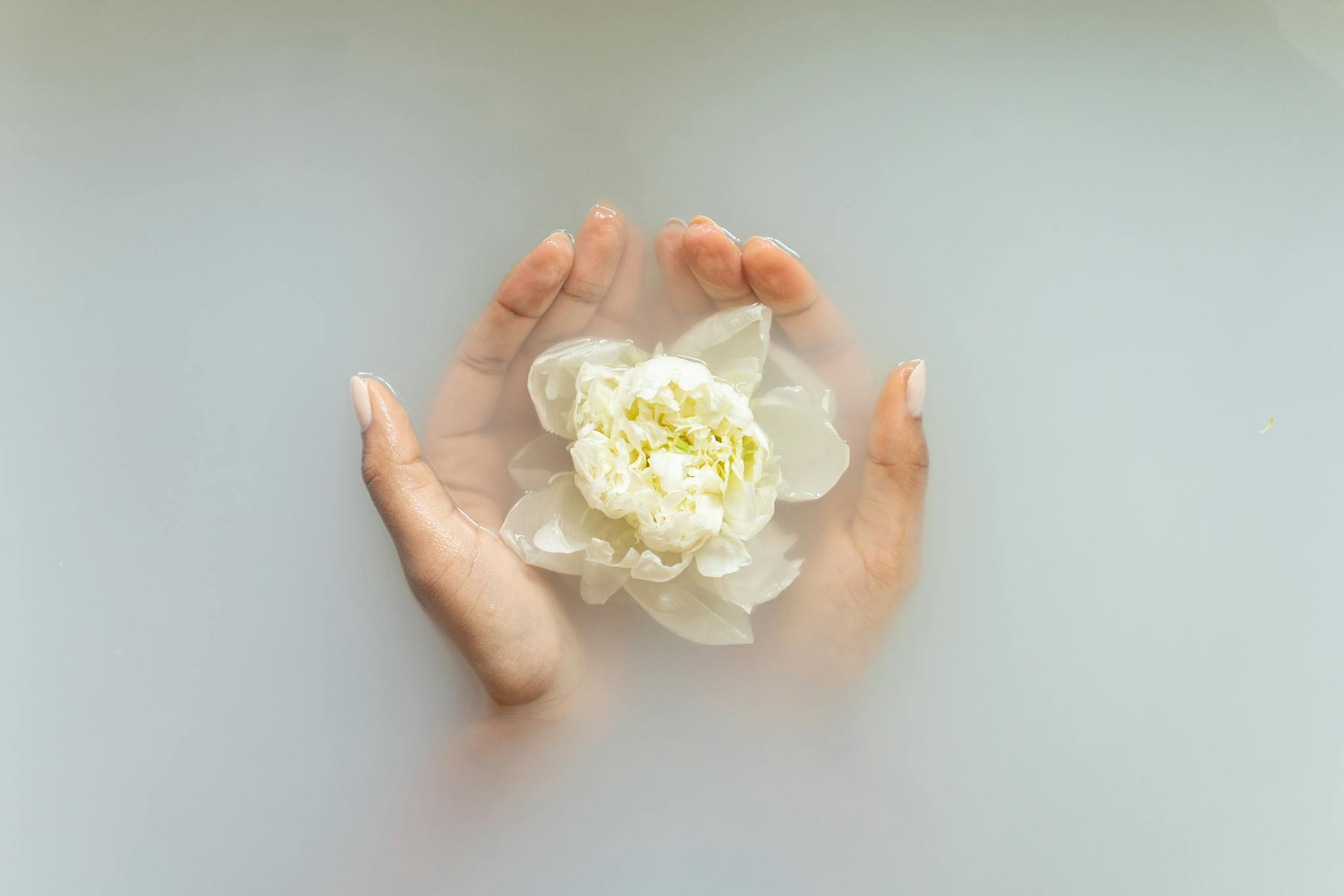 Hands holding a white flower in serene milky water,